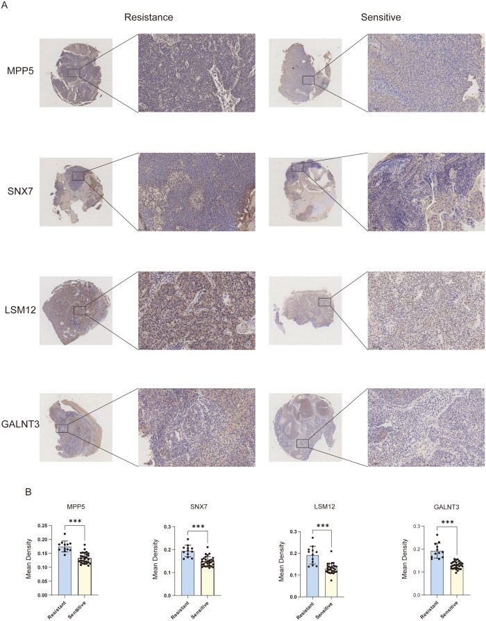 Fig 6