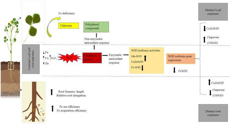 Fig 6