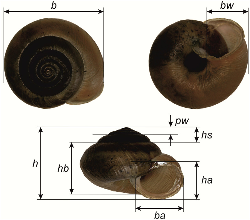 Fig 2