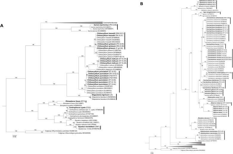 Fig 1