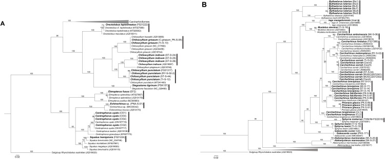 Fig 2
