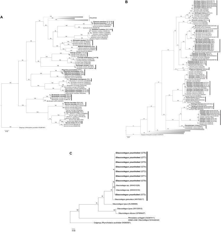 Fig 3