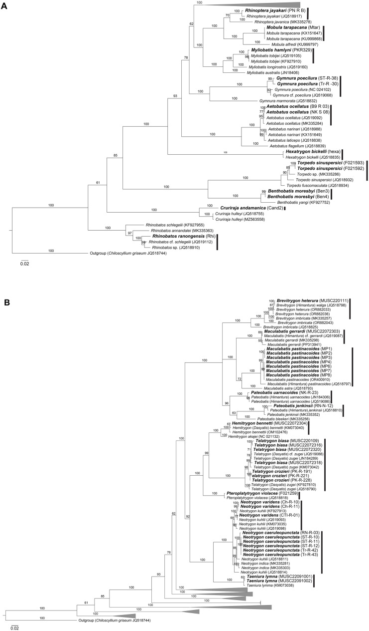 Fig 4