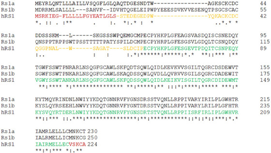 FIGURE 1