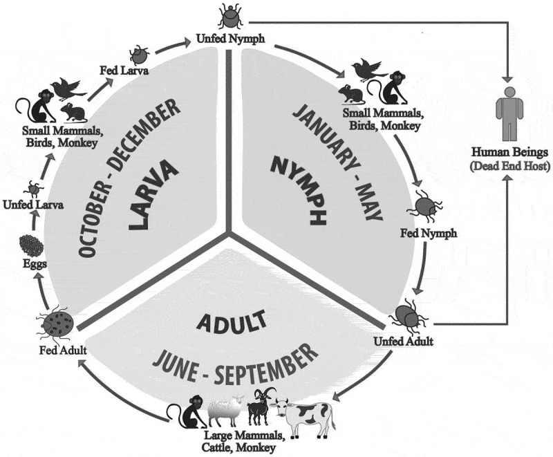 Figure 11