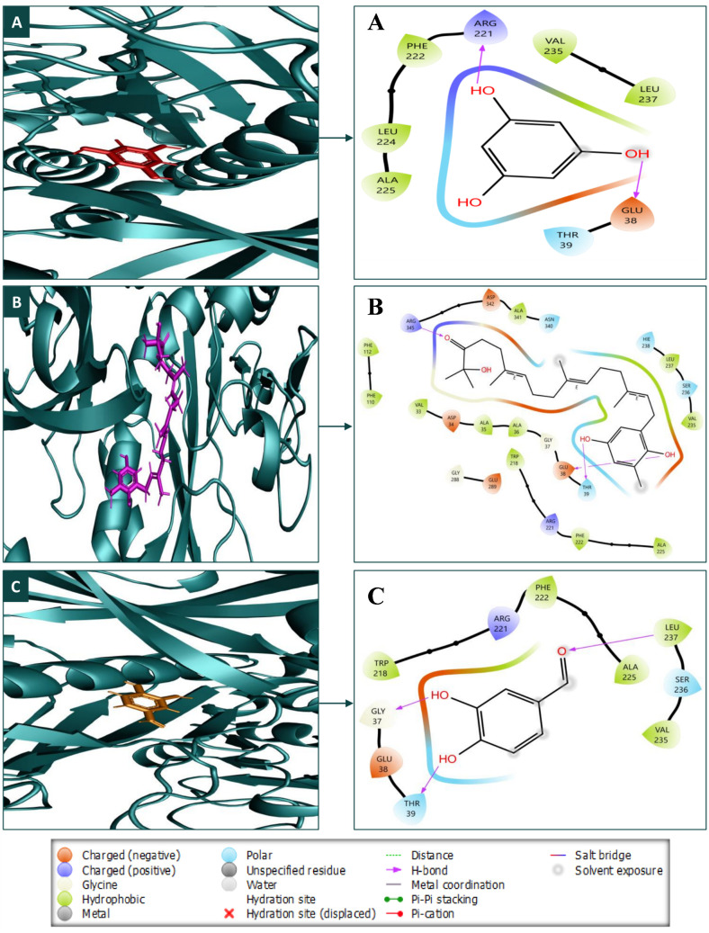 Fig 4