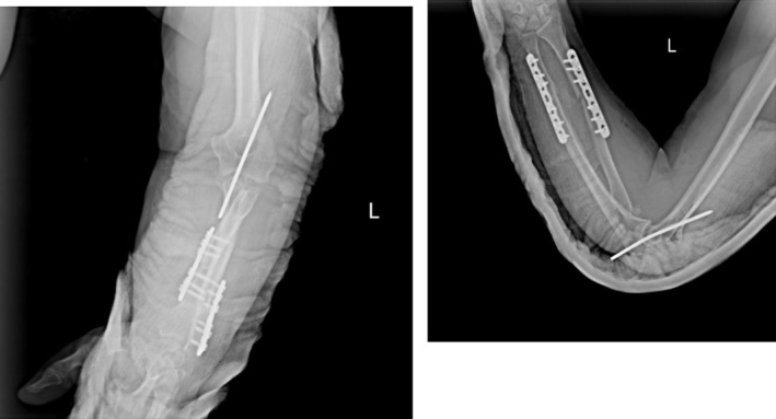 FIGURE 4