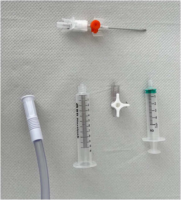 Figure 1
