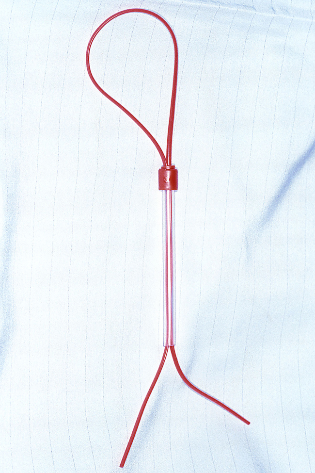 Figure 4