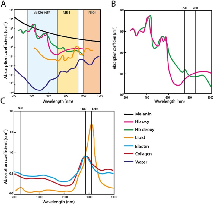 FIGURE 3