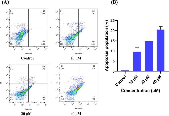 FIGURE 2
