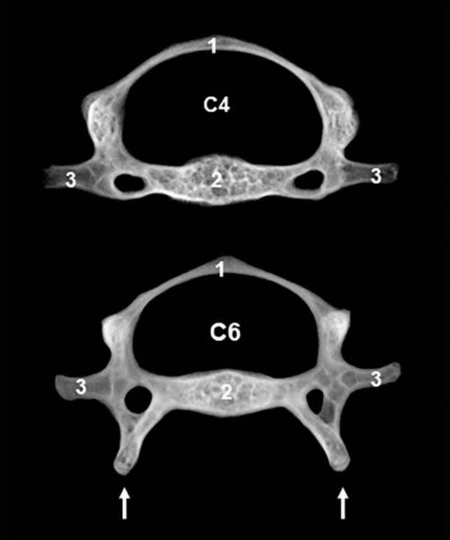 Figure 6