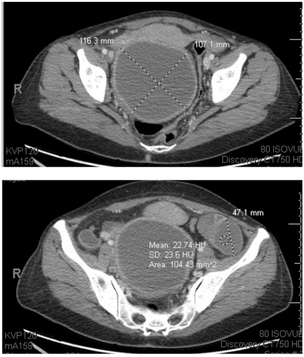 Figure 4
