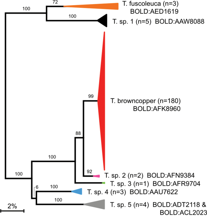 Figure 7