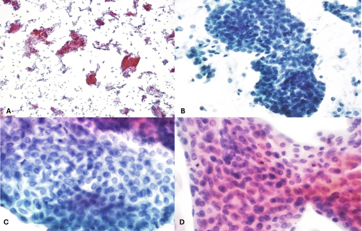 FIGURE 3
