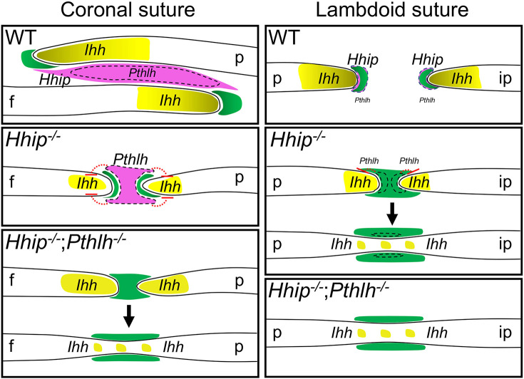 Fig. 9