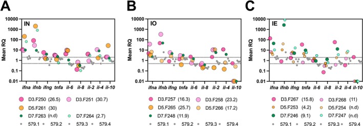 FIGURE 2