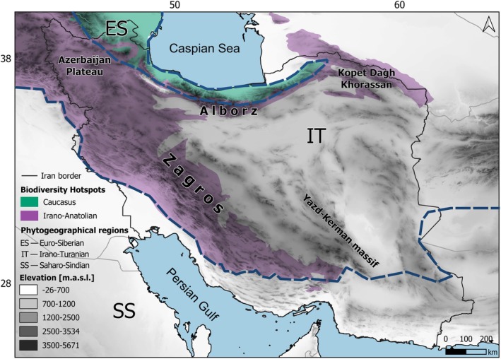 FIGURE 1