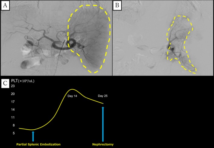 FIGURE 2