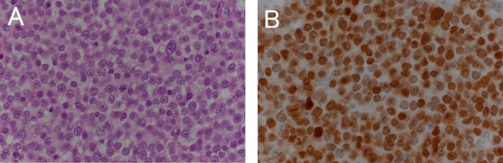FIGURE 4