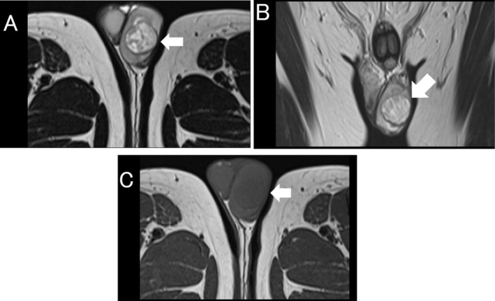 FIGURE 2