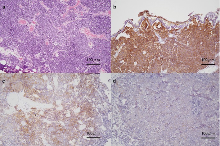 FIGURE 2
