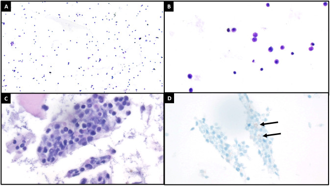 Figure 2