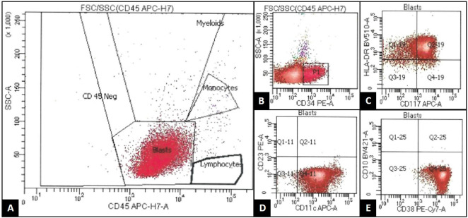 Figure 3