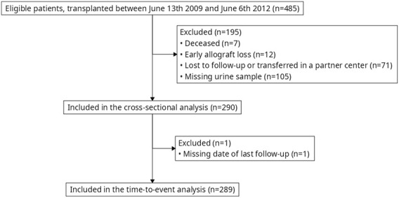 FIGURE 1