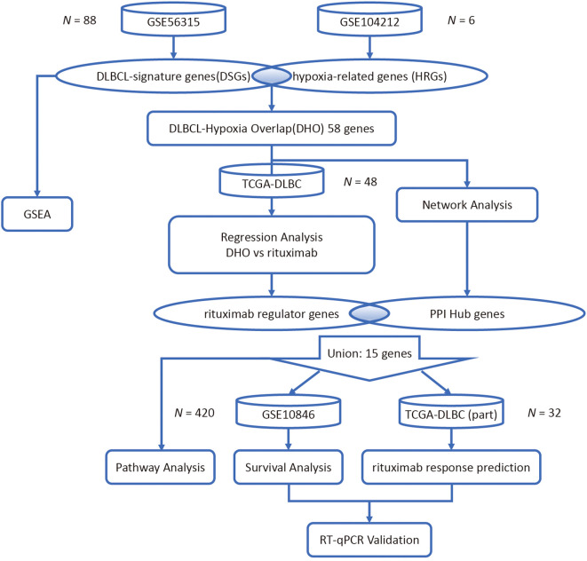 Figure 1