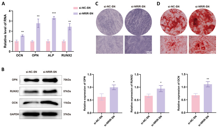 Figure 6