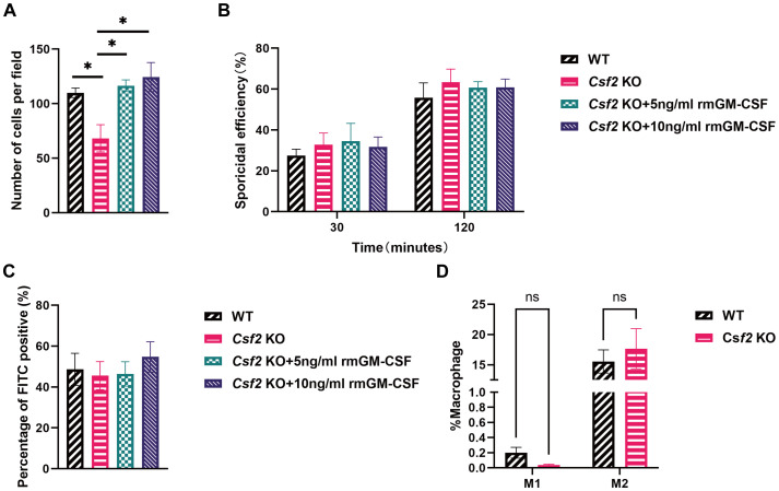 Figure 4