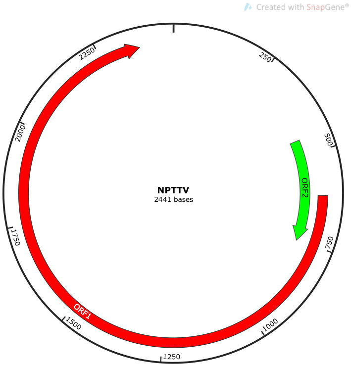 Figure 9