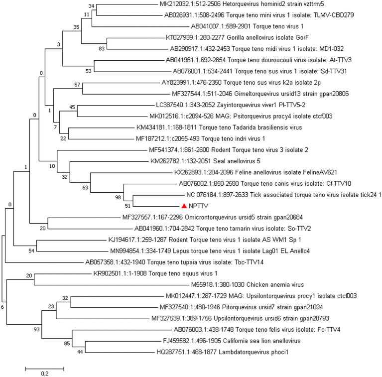 Figure 10