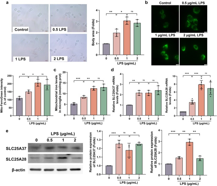 FIGURE 2