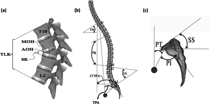 FIGURE 2