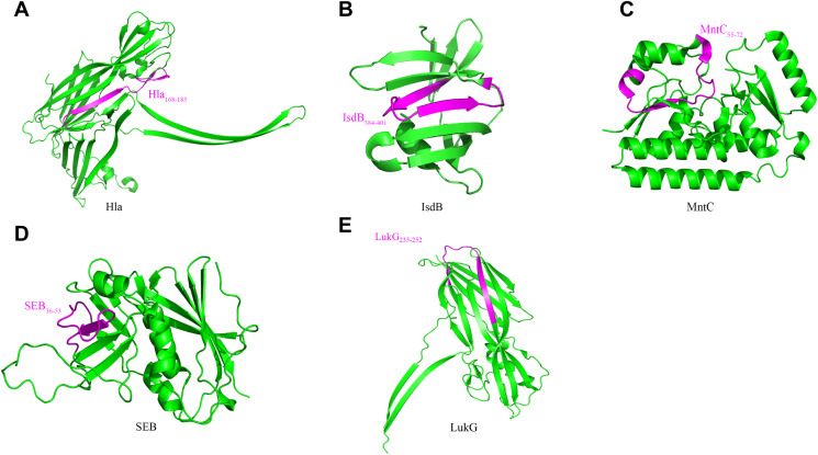 Figure 4