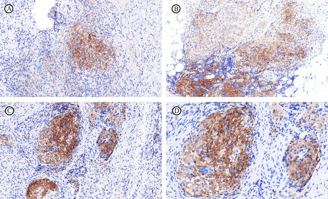 Figure 6