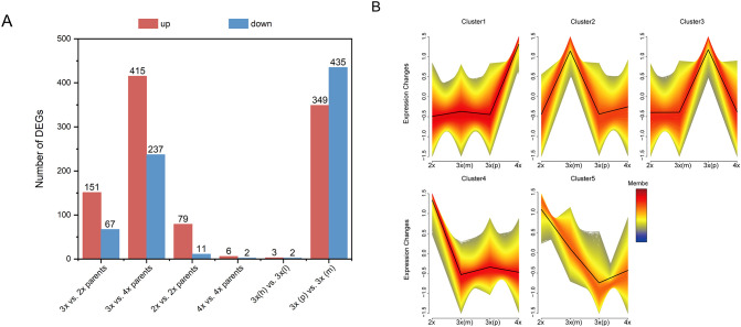 Figure 2