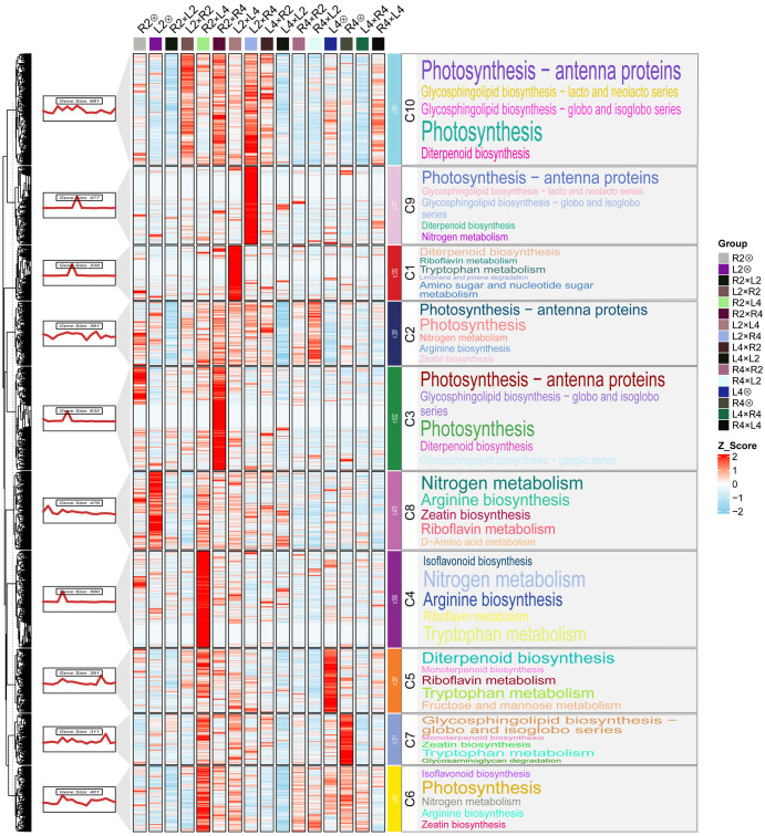 Figure 3