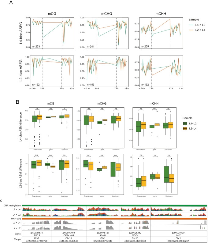 Figure 4