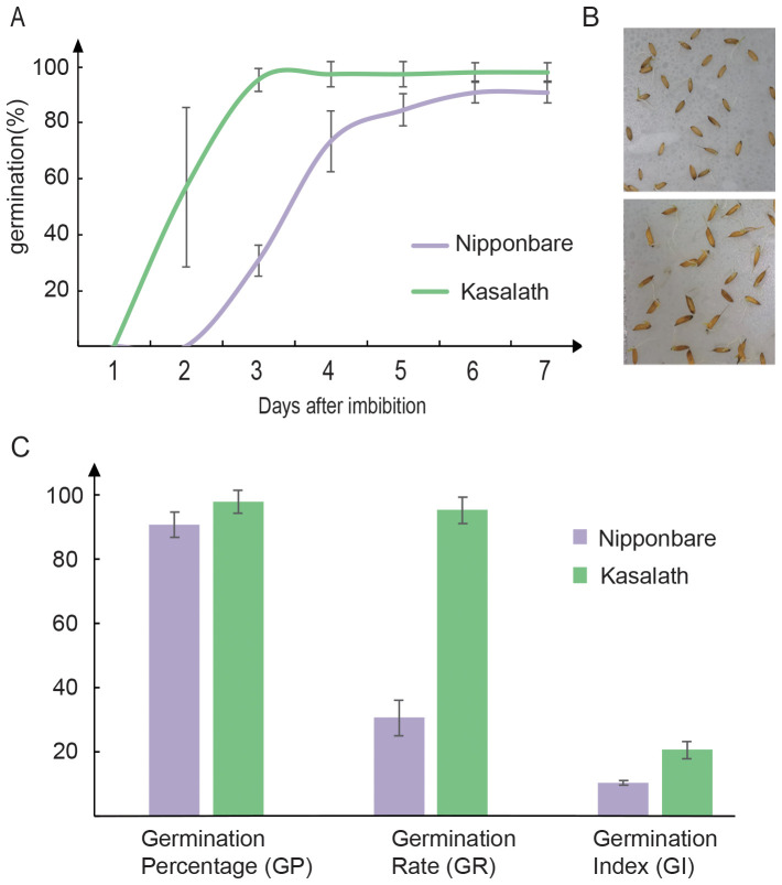 Figure 1