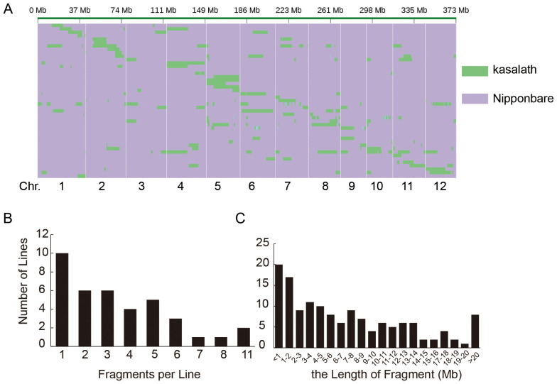 Figure 2