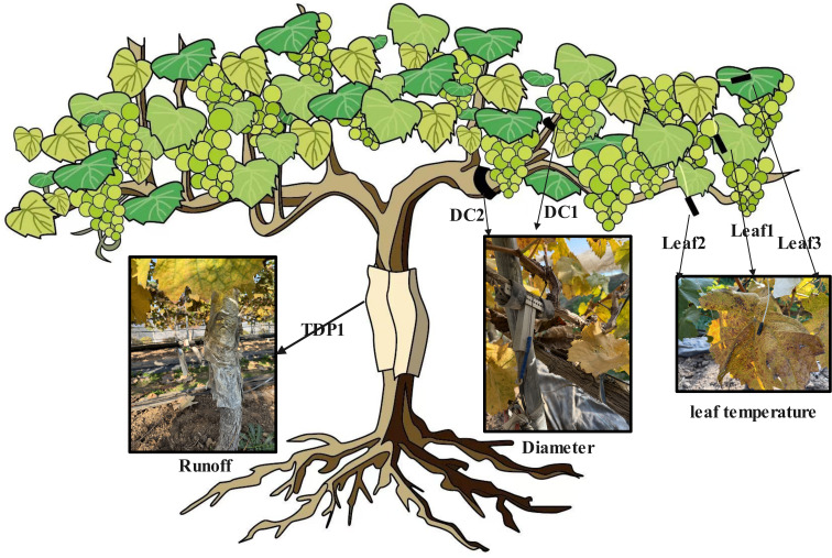 Figure 2