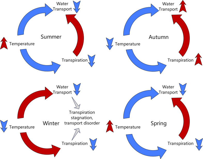 Figure 4
