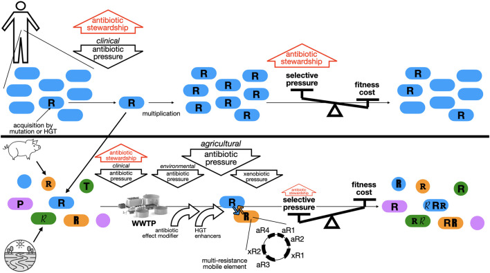 Figure 1