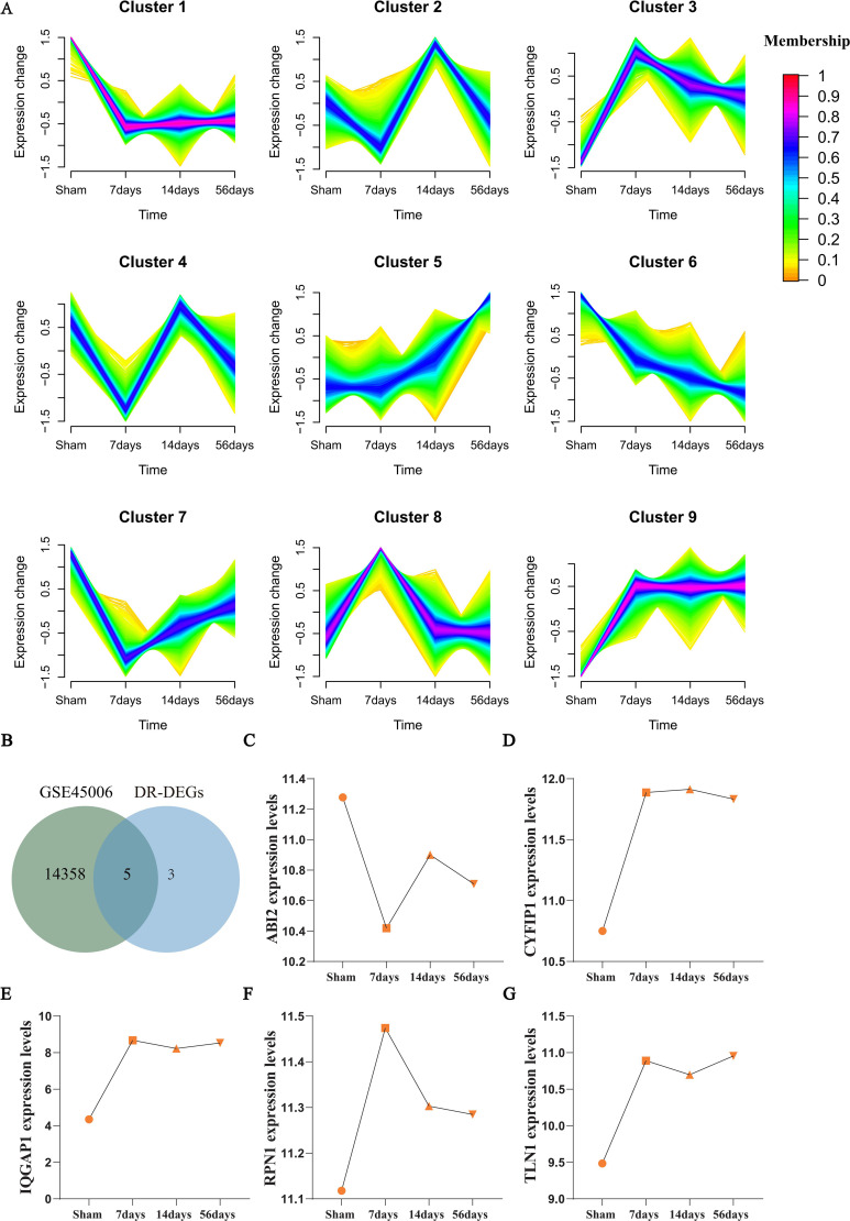Figure 3