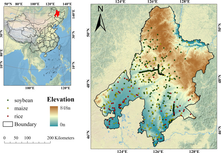 Figure 1