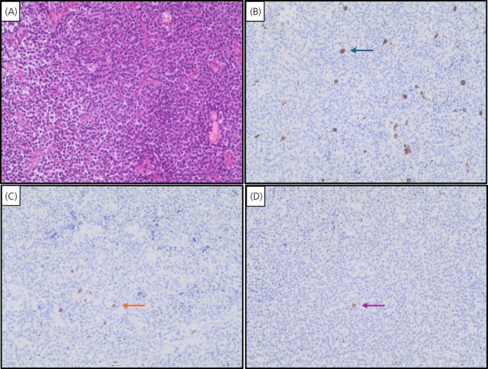 FIGURE 4