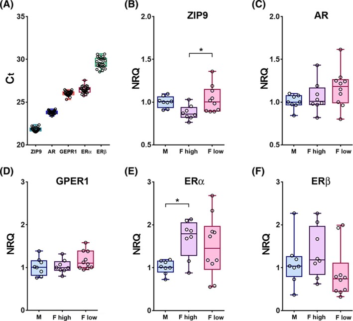 FIGURE 2